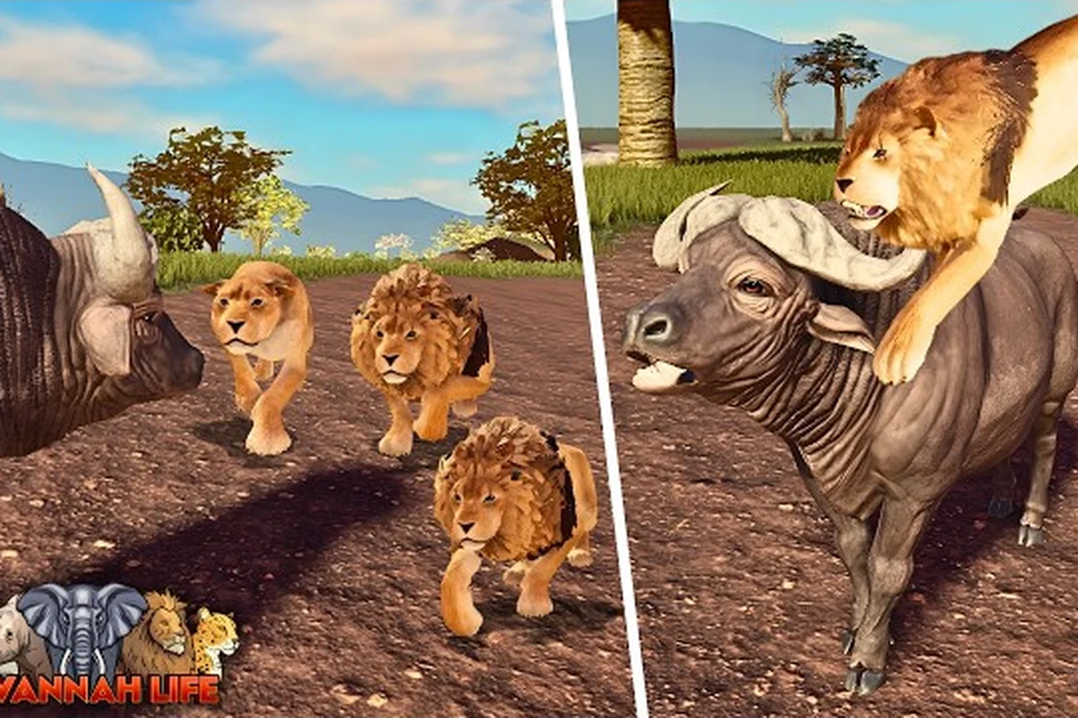 Savannah Life Lion: Stats, Cost, and Why It Reigns