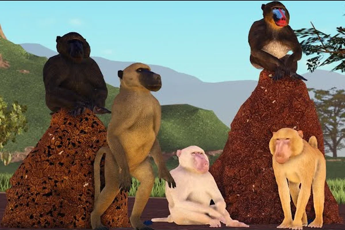 Savannah Life Baboon: Cost, Skills, and Beginner Pick