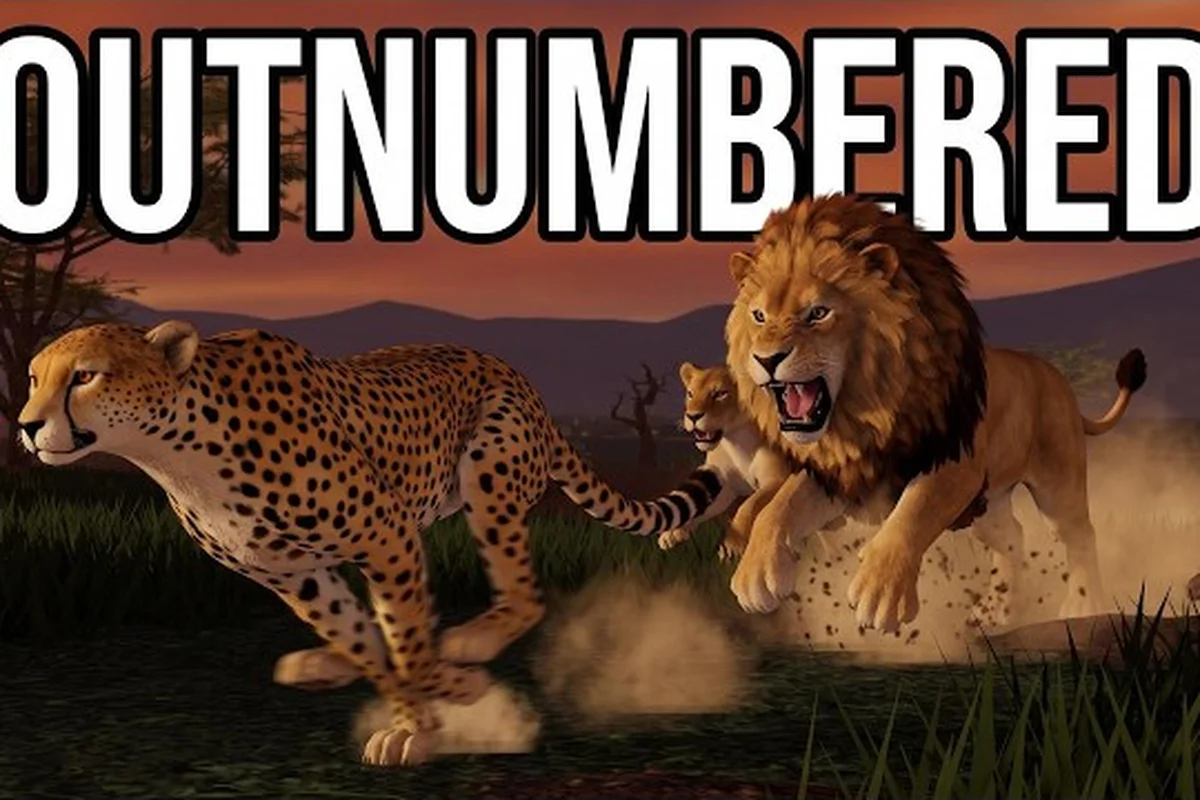 Savannah Life Pride Wars: Claiming Territory and Becoming Alpha