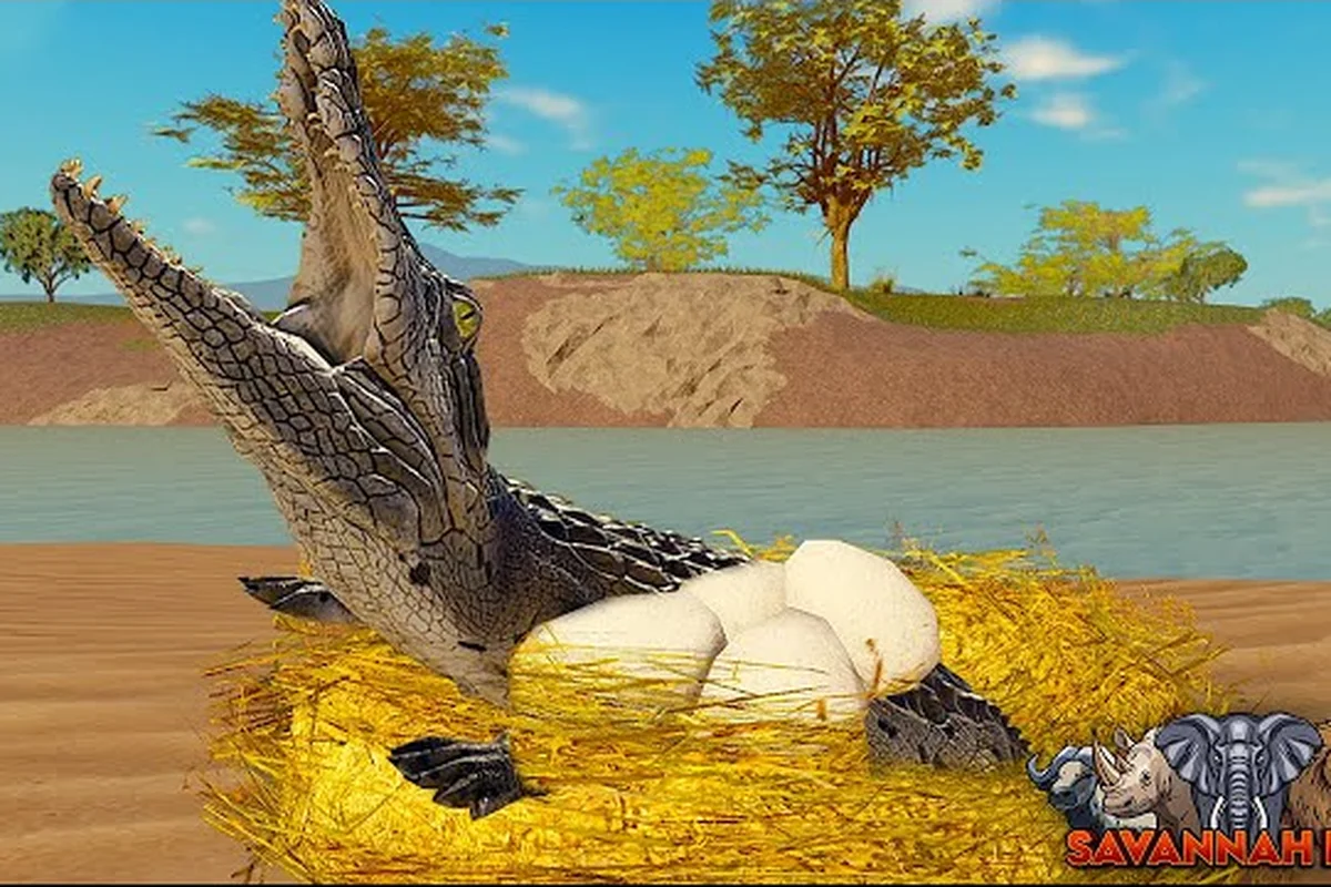 Savannah Life Eggs: Group of 15, RP Server, Alpha Territory
