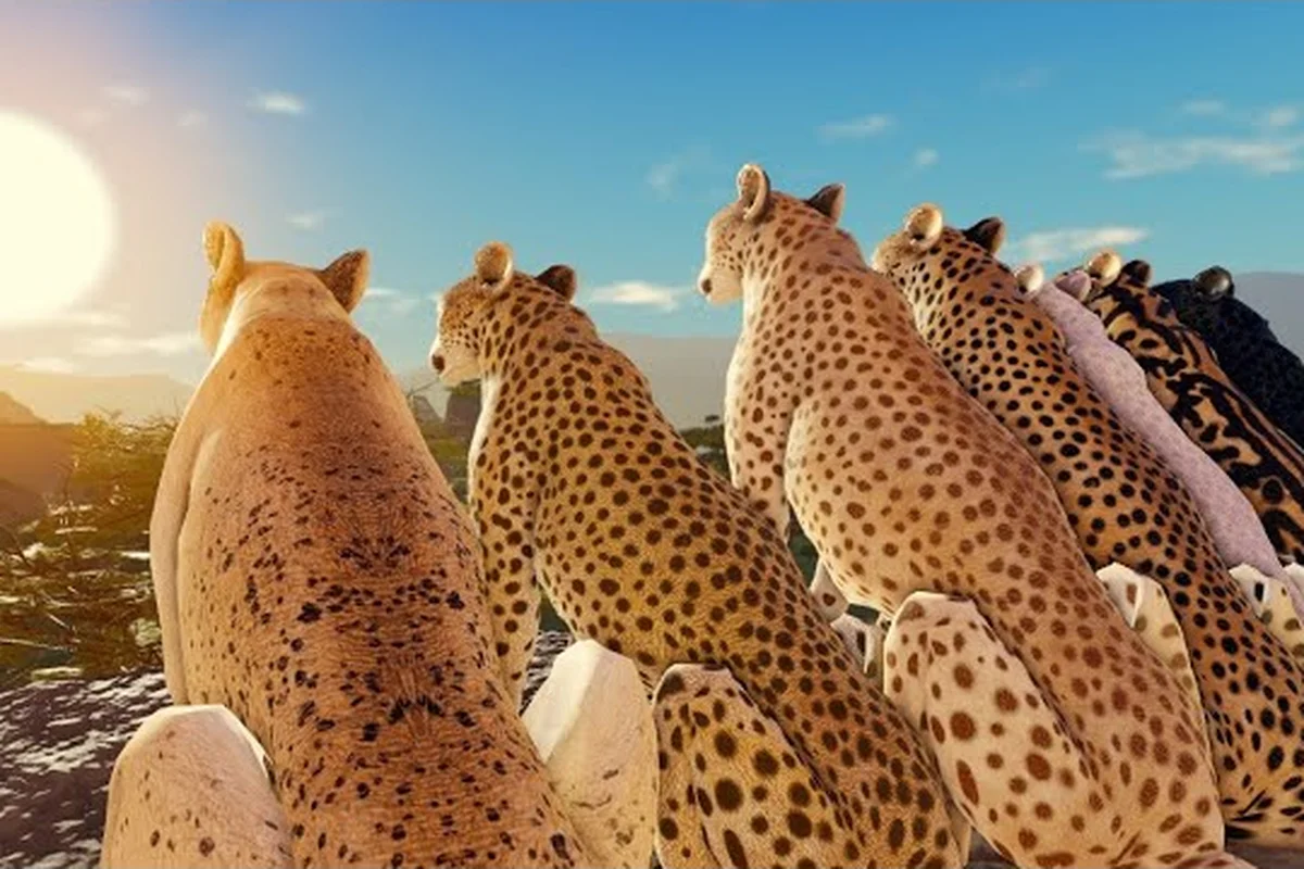Savannah Life Cheetah Skins: Rare Looks & Price Breakdown