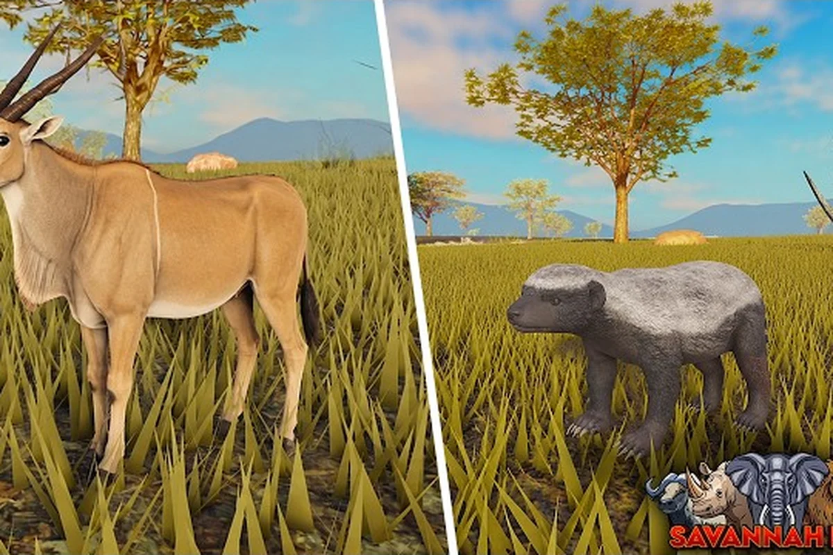 Savannah Life Upcoming Animals: Next Creatures from Noyo